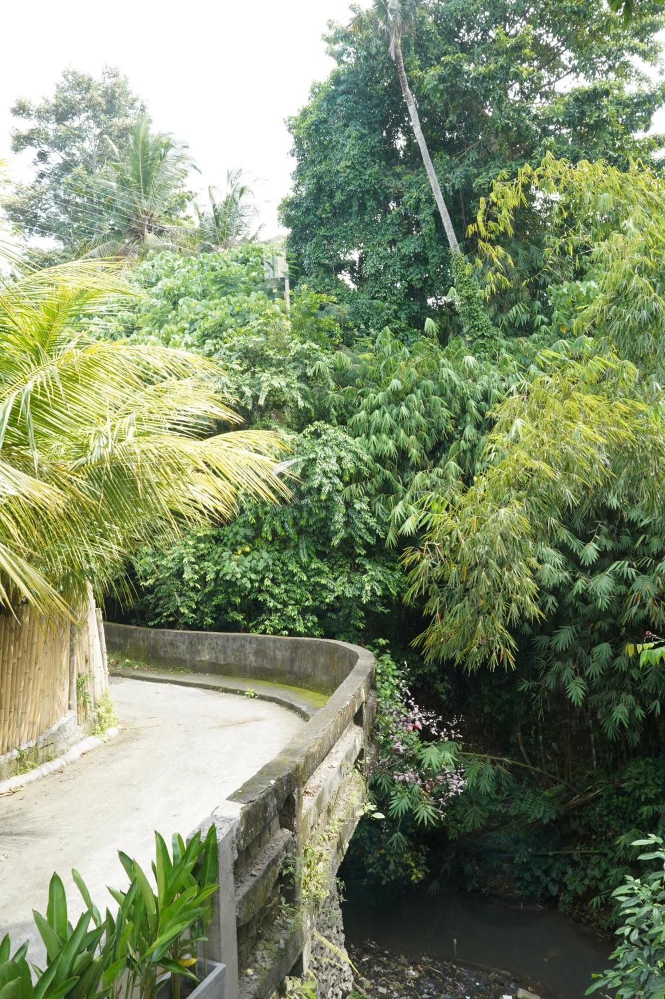 Central House Ubud  Bagian luar foto