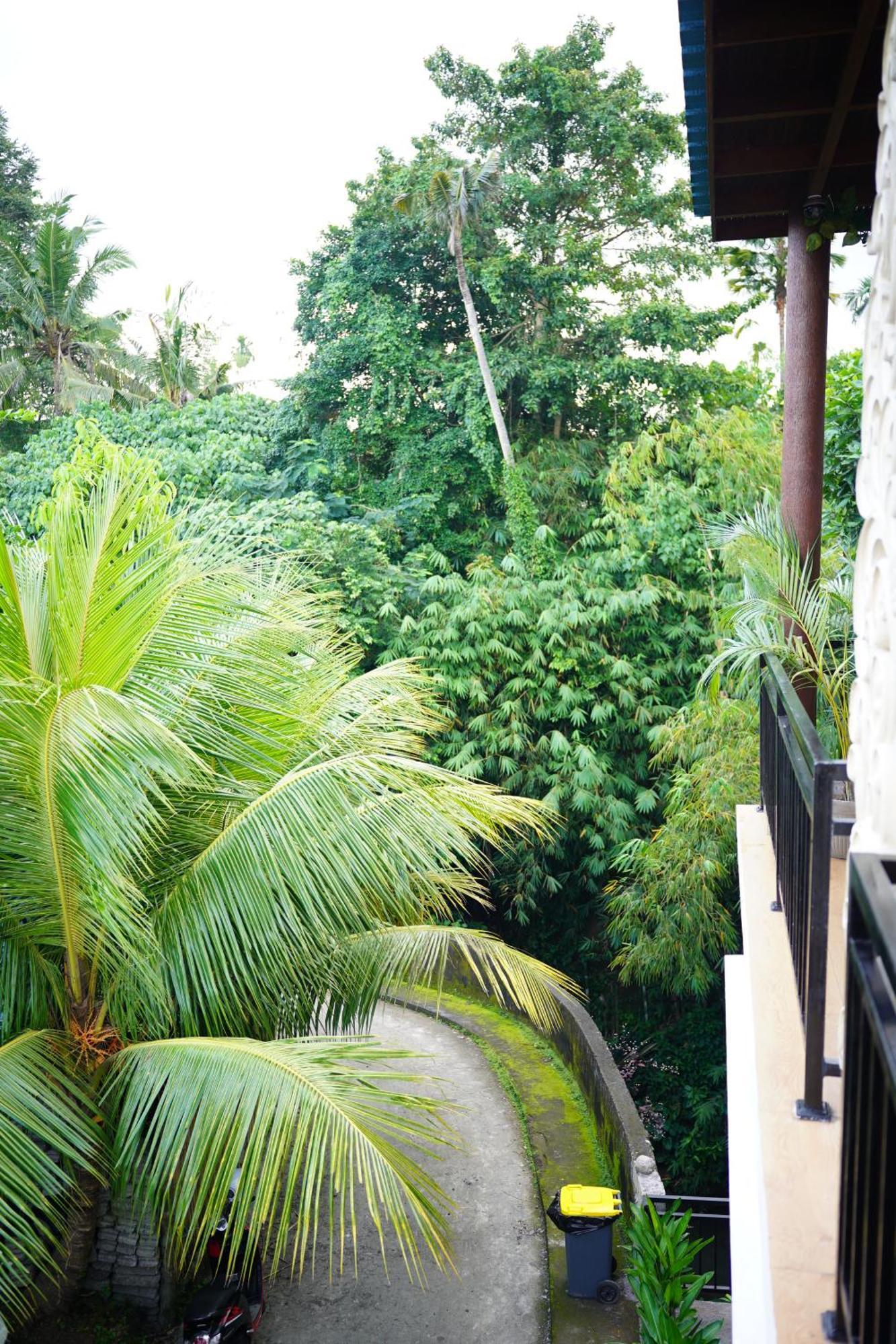 Central House Ubud  Bagian luar foto