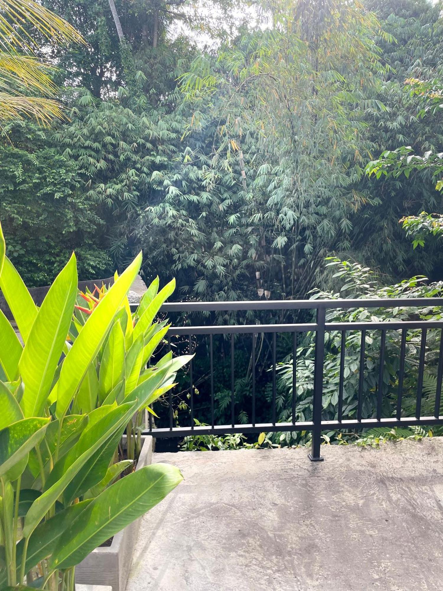 Central House Ubud  Bagian luar foto
